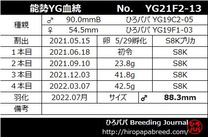 YG21F2-13ラベル