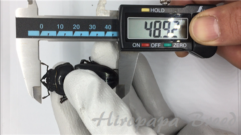 YG17A-05 (1)