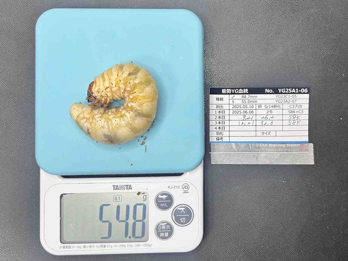 FullSizeRender