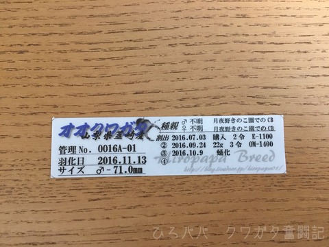 成虫管理ラベル