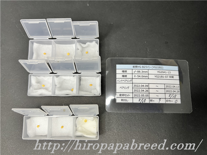 YG22B2 (1)