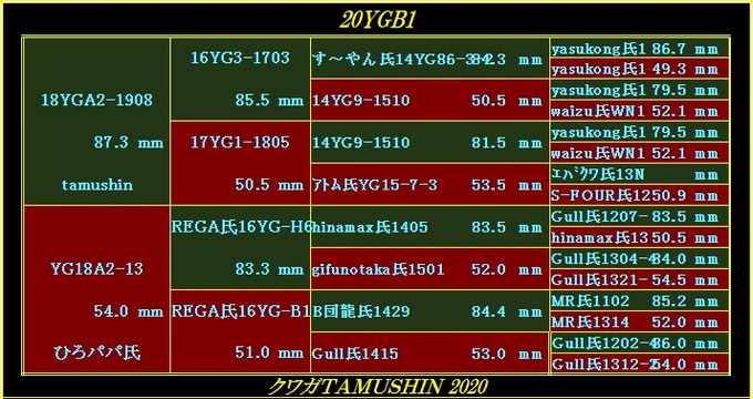 tamushin氏20YGB1