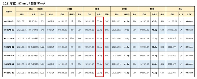 2021年度87mmUPデータ