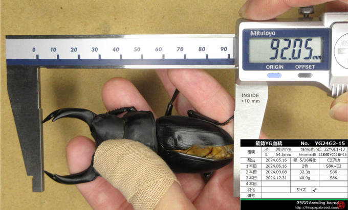 名称未設定のデザイン (2)