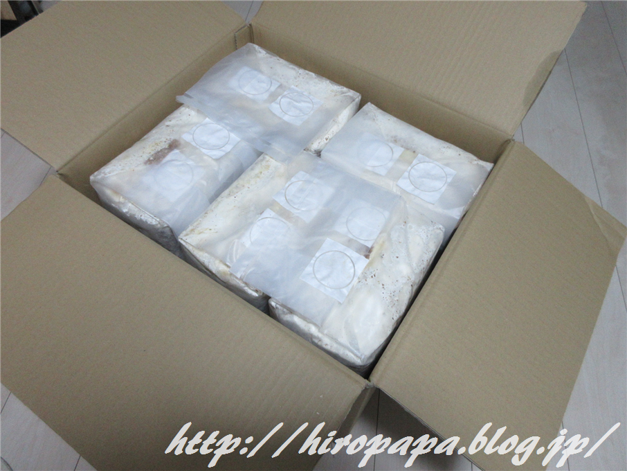 3本目用菌糸詰め完了 少し早々の交換 ひろパパ クワガタ奮闘記 3本目用菌糸詰め完了 少し早々の交換 ひろパパ クワガタ奮闘記