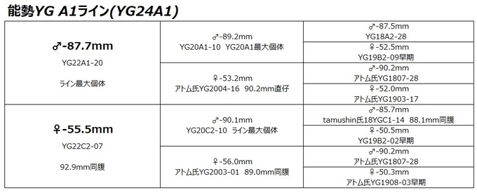 YG24A1