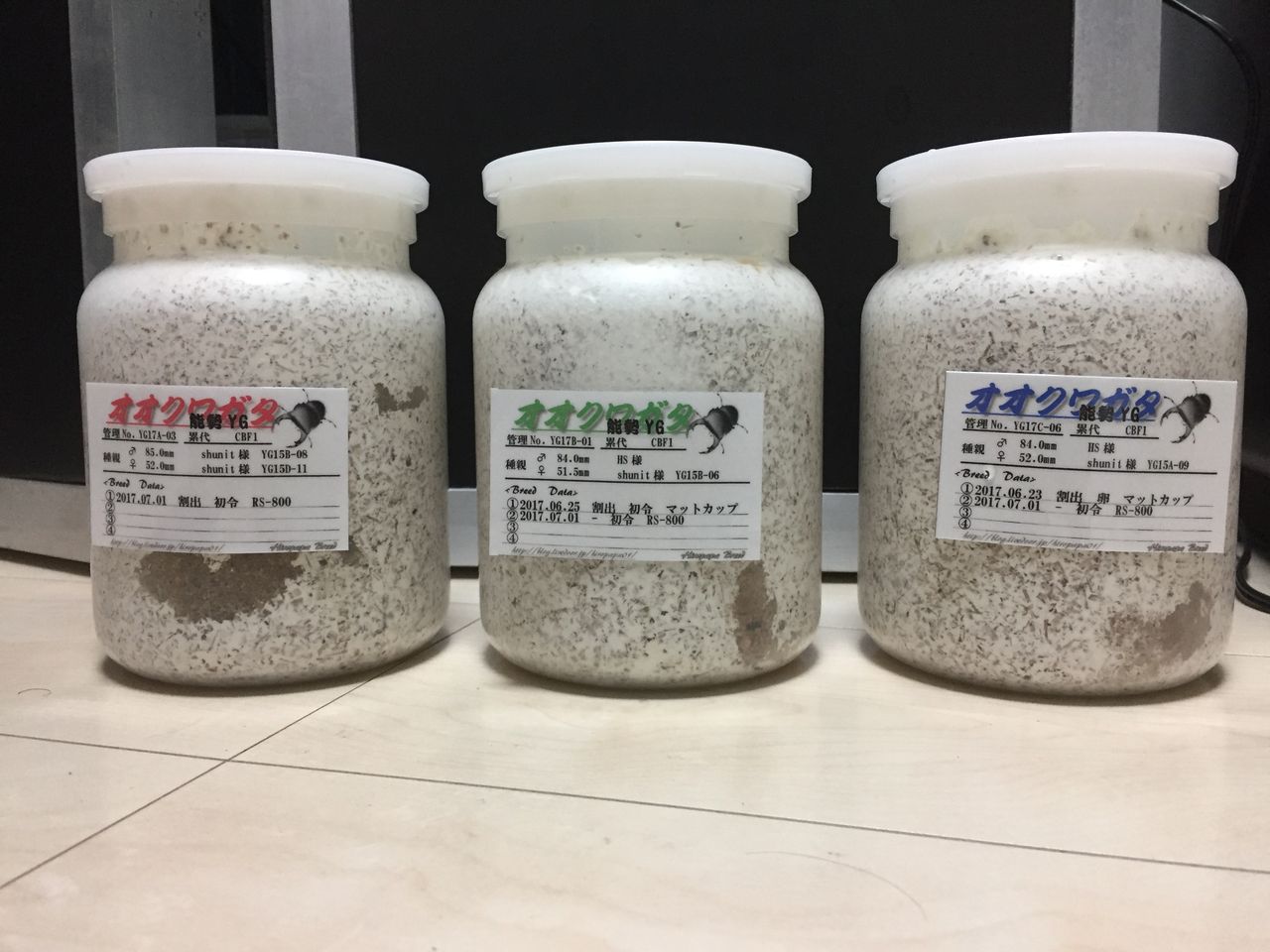 菌糸ボトル フォーテック菌糸ビン　Ｇ-pot・８５０ｃｃ　バラ売り