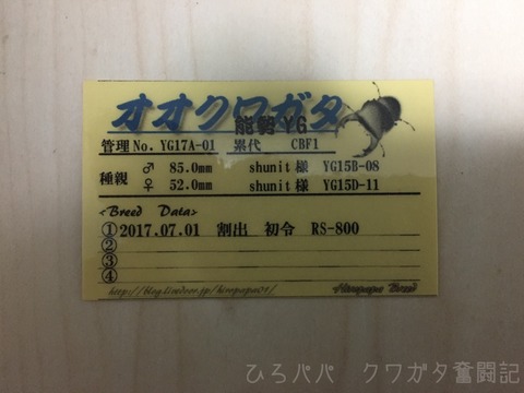 幼虫管理ラベル