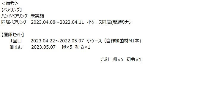 C2セット