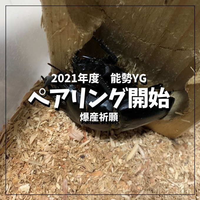 ペアリング開始 (2)
