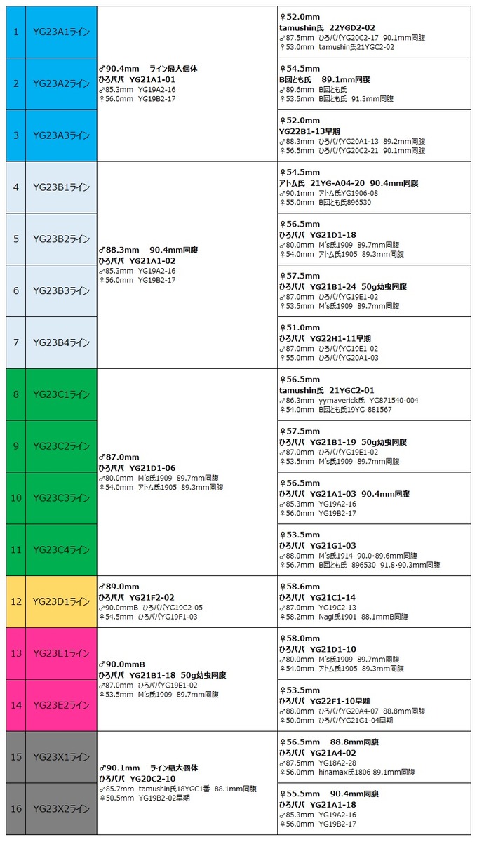 2023組み合わせ