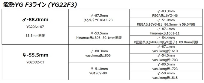 YG22F3