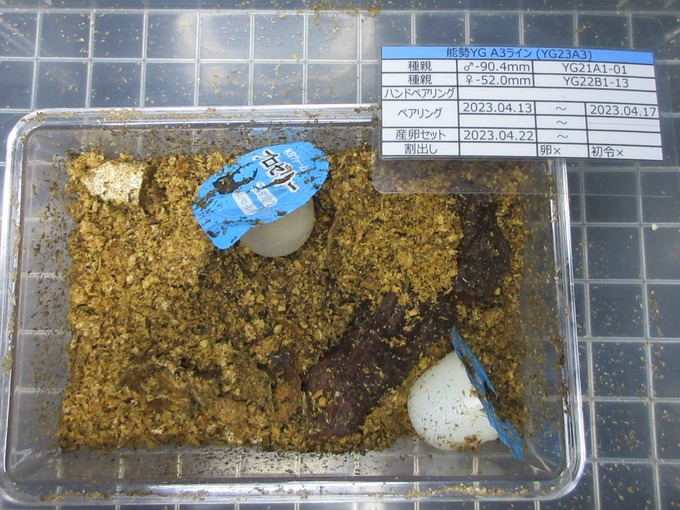A3 (2)