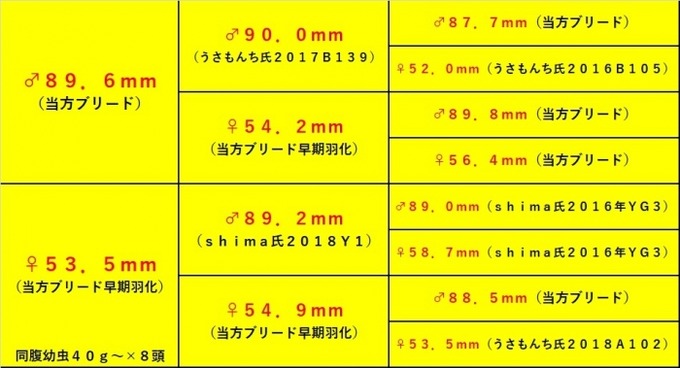 B団とも氏2021-14 896×535