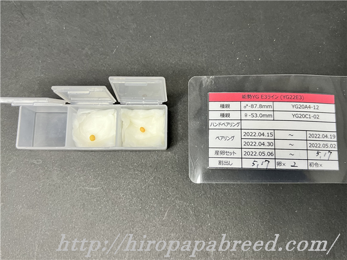 YG22E3 (1)