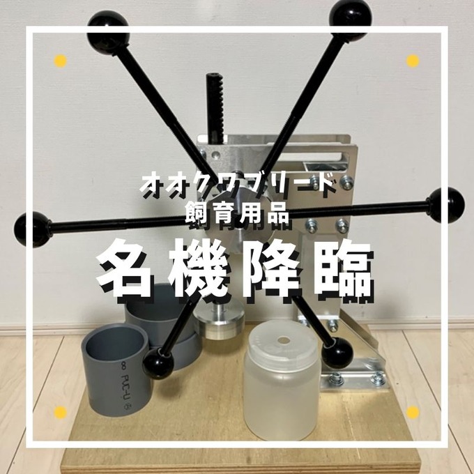 名機降臨