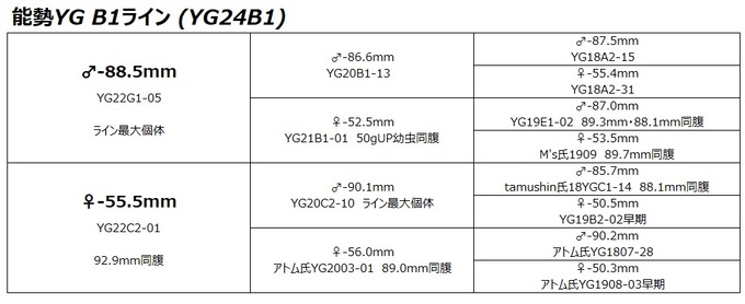 YG24B1