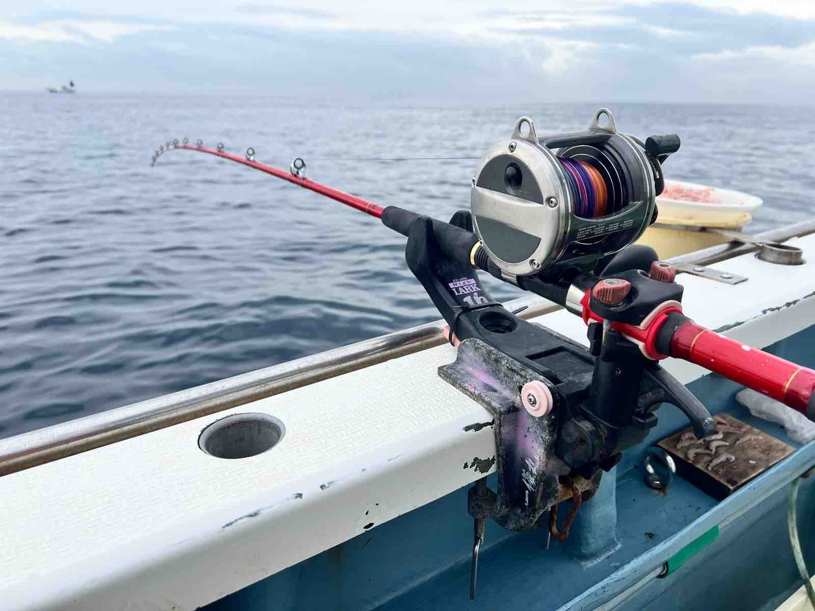 KIHADA Challenge : ひろパパ BreedingJournal