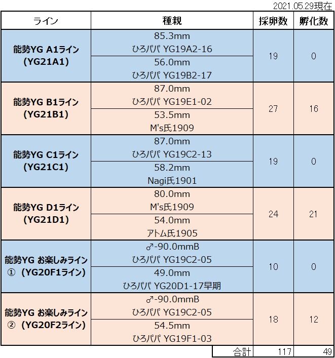 2021ブリードライン