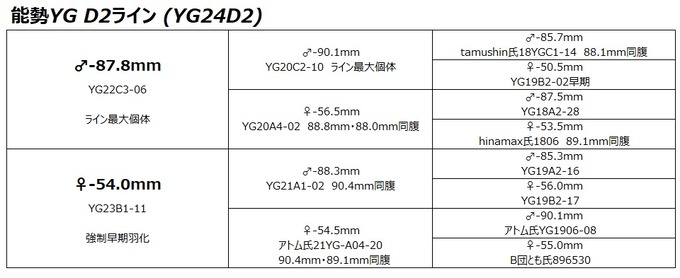 YG24D2
