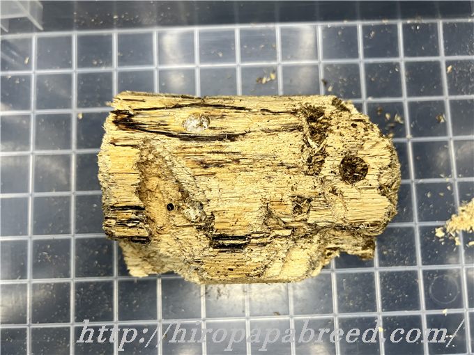 YG22F2 (1)