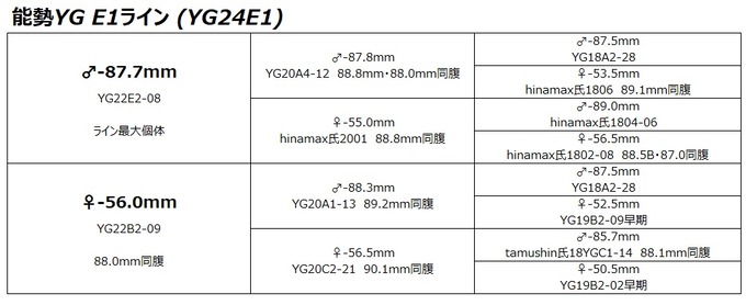 YG24E1