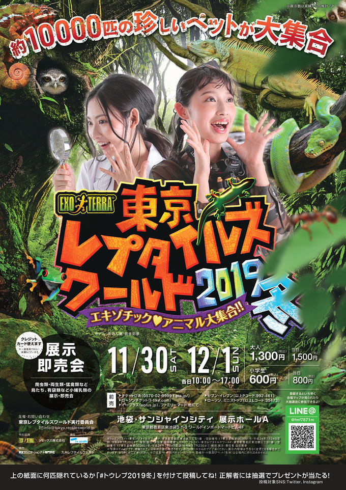 trw2019w