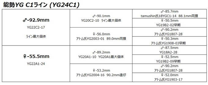 YG24C1