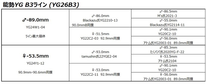 YG26B3ライン