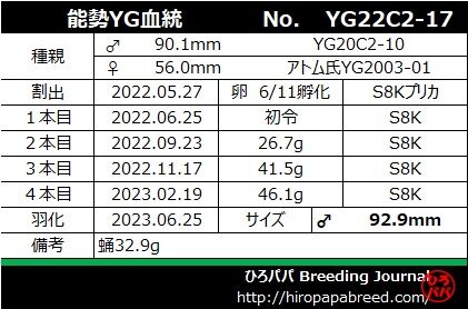 YG22C2-17