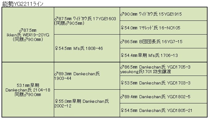 hinamax氏YG2211