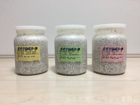 幼虫管理ラベル