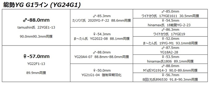 YG24G1