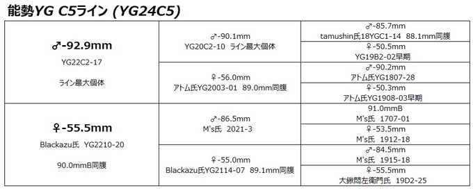 YG24C5
