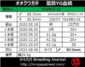 YG20C2-17ラベル