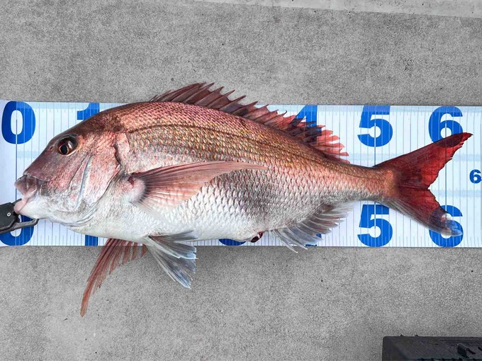 FullSizeRender
