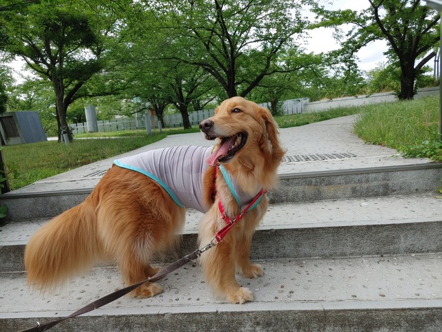 IMG01407_HDR