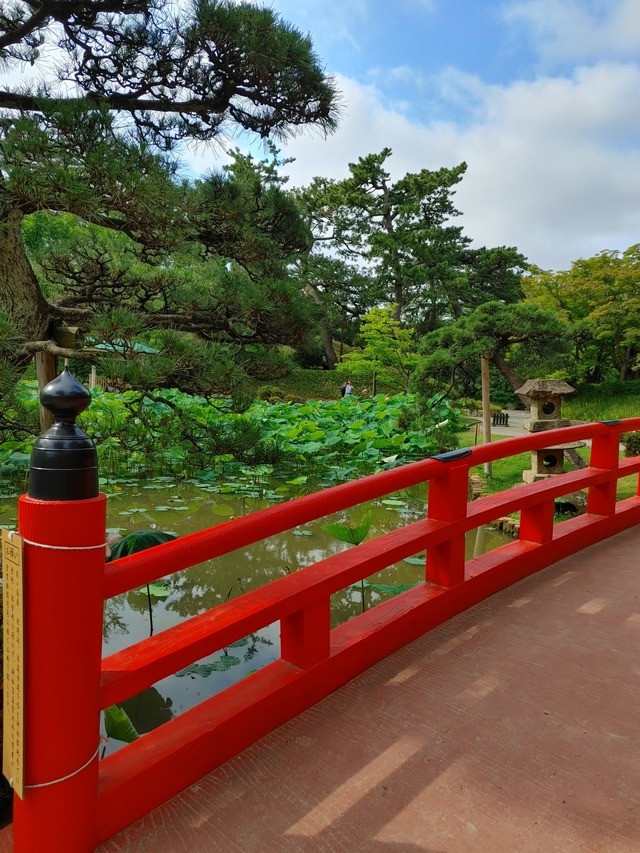 IMG00889_HDR