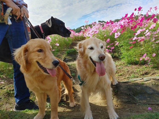 IMG01409_HDR