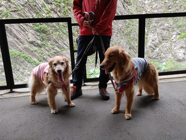 IMG03715_HDR