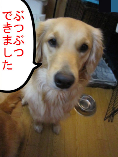 る たん 病院へ ラピスと