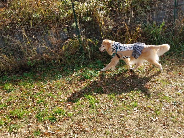 IMG01655_HDR