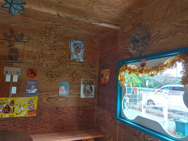 IMG04890_HDR