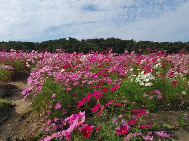 IMG01421_HDR