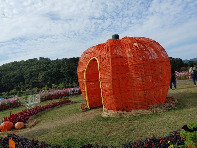 IMG01422_HDR