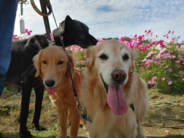 IMG01419_HDR
