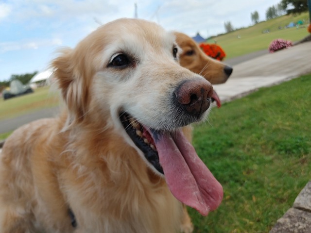 IMG01380_HDR