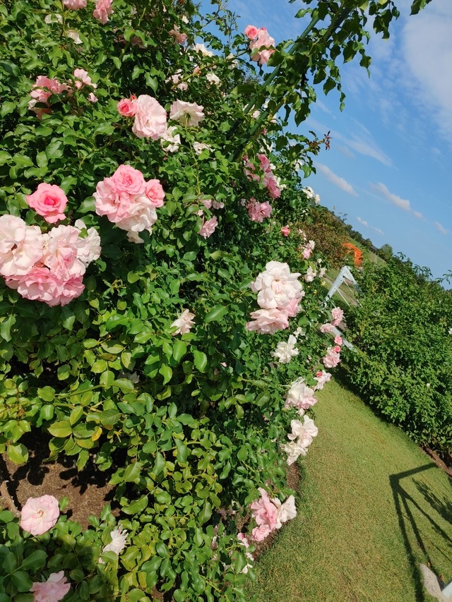 IMG01344_HDR