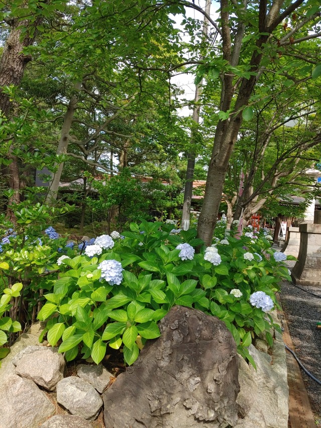 IMG00888_HDR