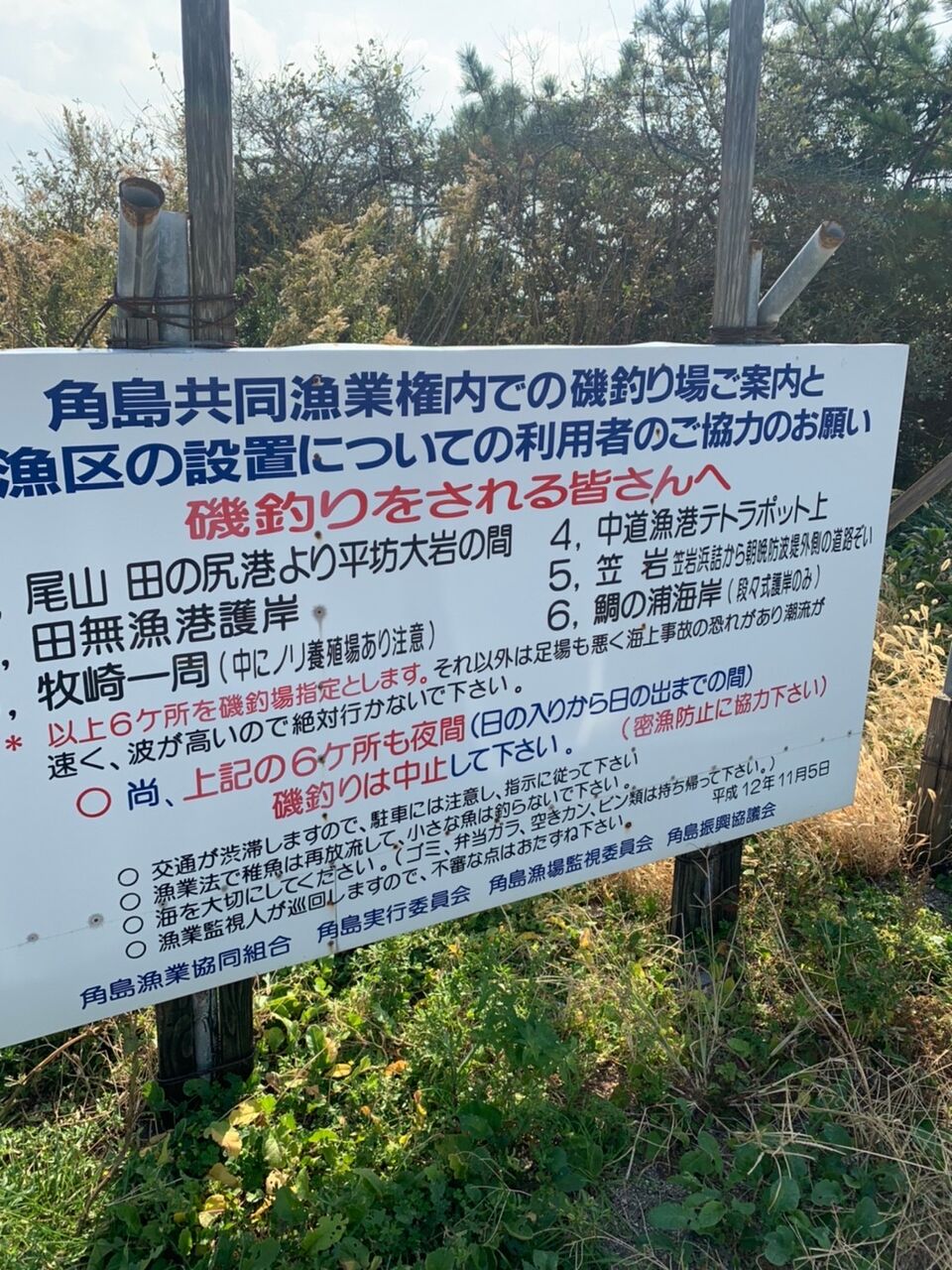 釣り 山口県 尾山港 のレビュー Bmwで釣り車中泊